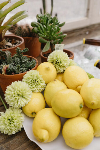 10_Fresh_Details_Booth_Stock