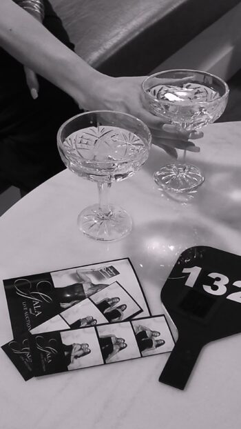 3_Auction_Video